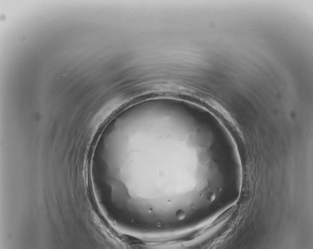 X0000060770791200511171212