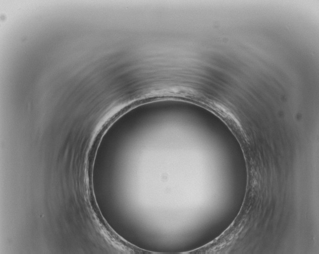 X0000060770792200511171212