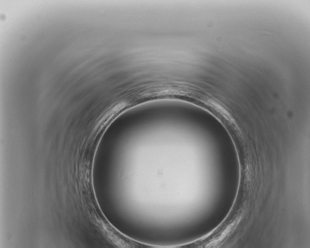 X0000060770793200511171212