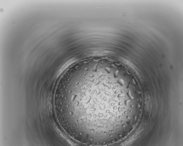 X0000060770794200511171212