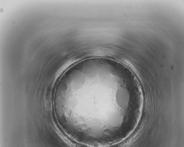 X0000060770795200511171212