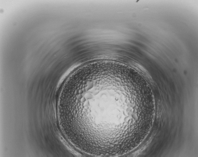 X0000060770796200511171212