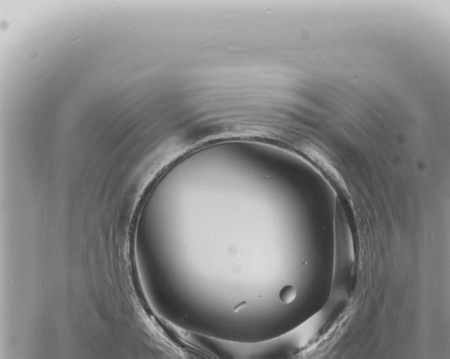 X0000060770797200511171212