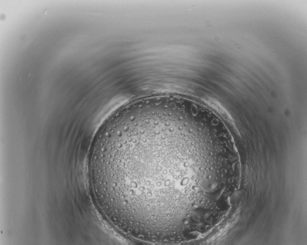 X0000060770798200511171212