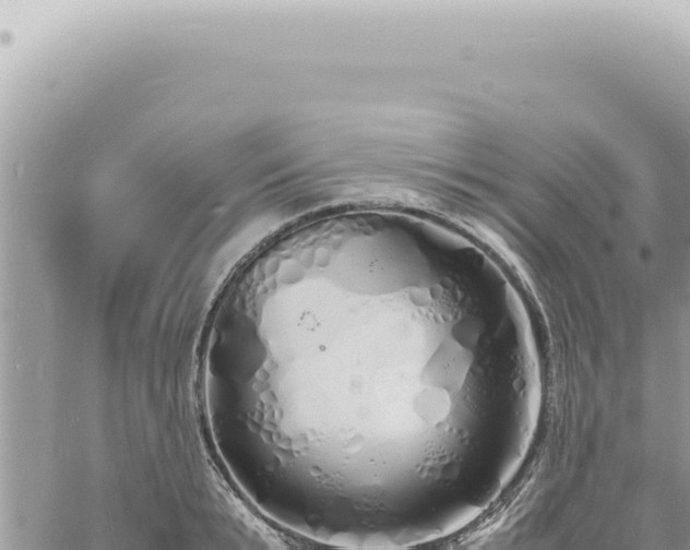 X0000060770799200511171212