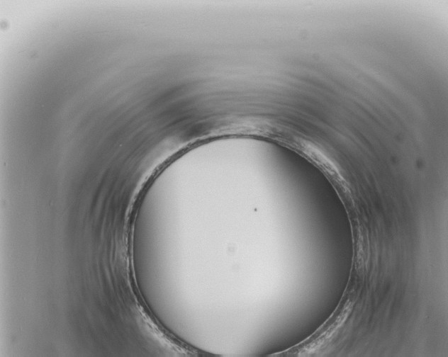 X0000060770800200511171212