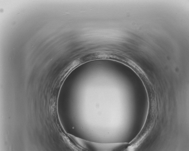 X0000060770801200511171212