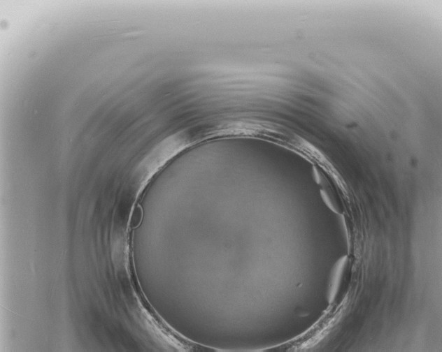 X0000060770802200511171212