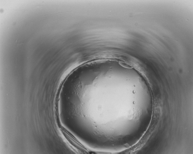 X0000060770803200511171212