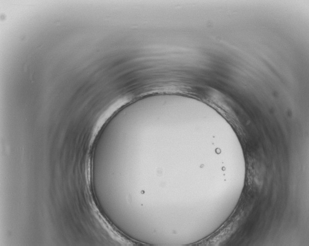 X0000060770804200511171212