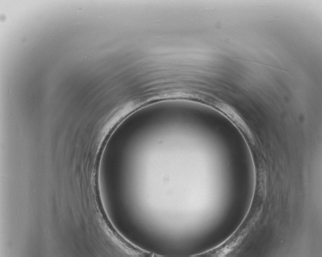 X0000060770805200511171212