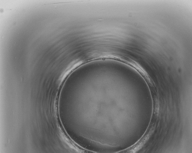 X0000060770806200511171212