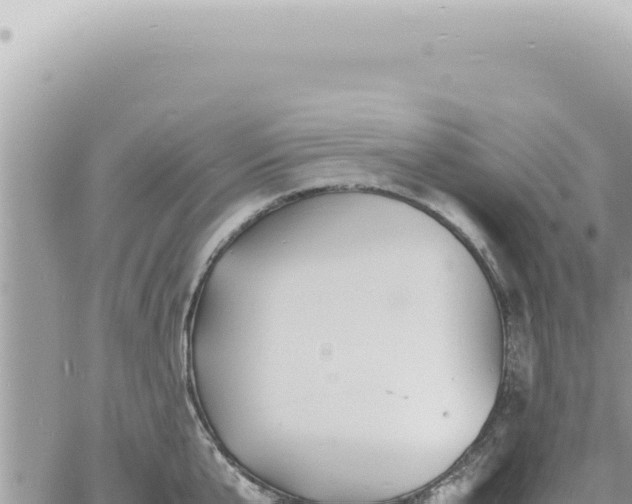 X0000060770807200511171212