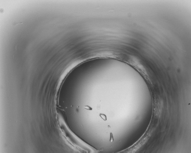 X0000060770808200511171212