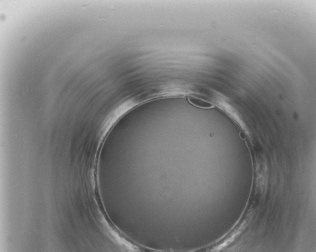 X0000060770810200511171212