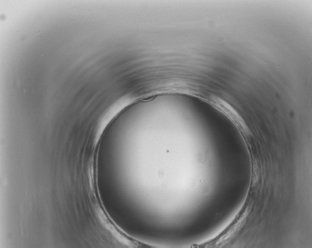 X0000060770812200511171212