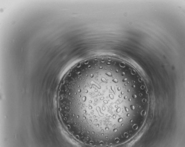 X0000060770814200511171211