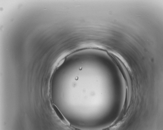 X0000060770815200511171211