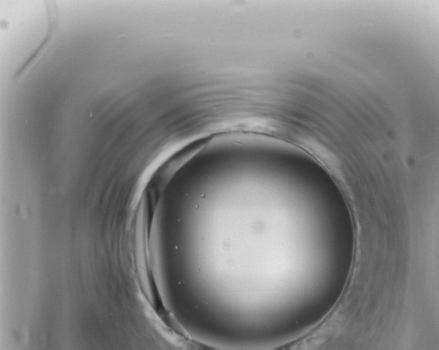 X0000060770816200511171211