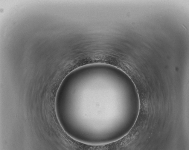 X0000060770817200511171211