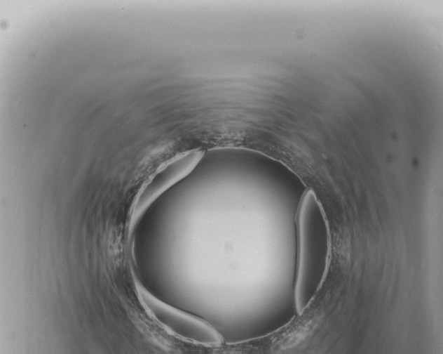 X0000060770818200511171211