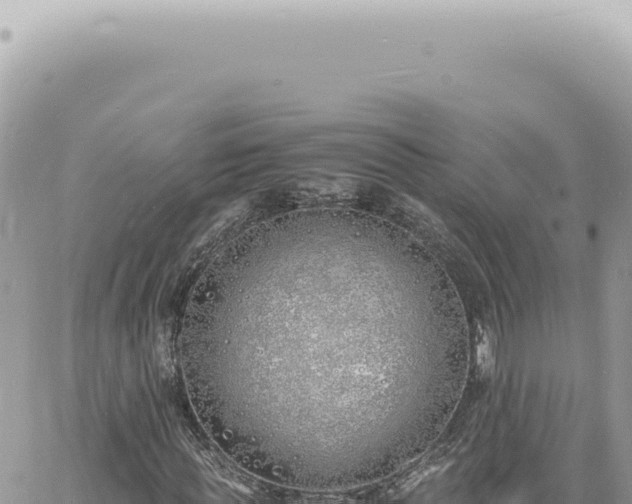 X0000060770819200511171211