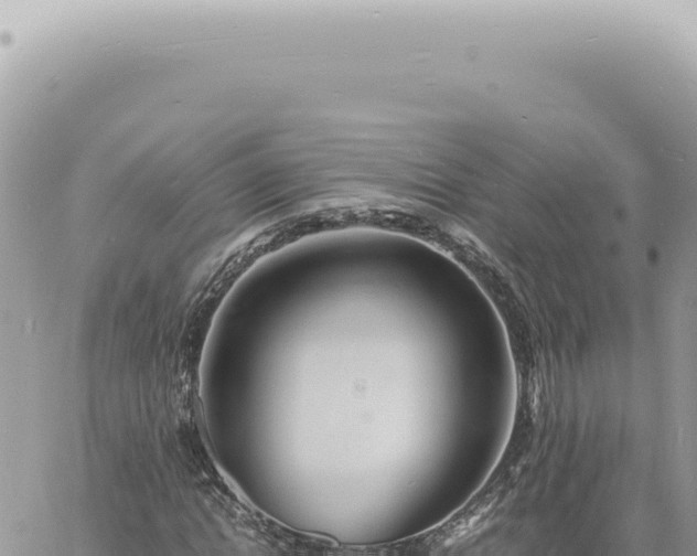 X0000060770822200511171211