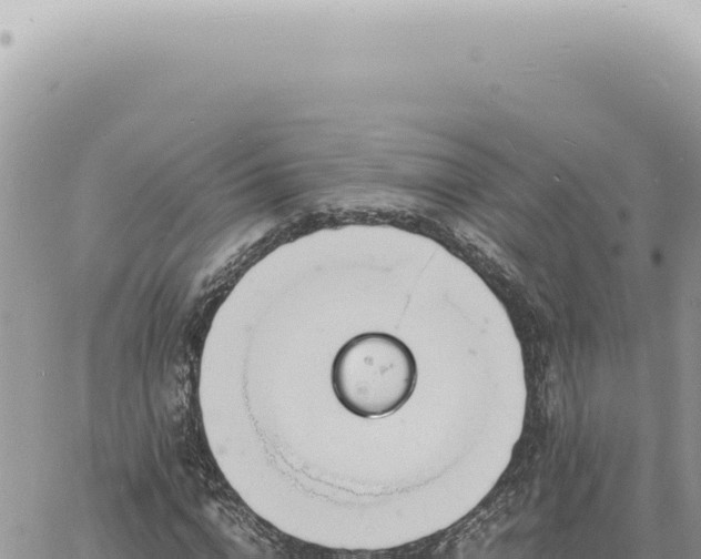 X0000060770824200511171211