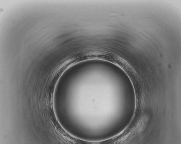 X0000060770825200511171211