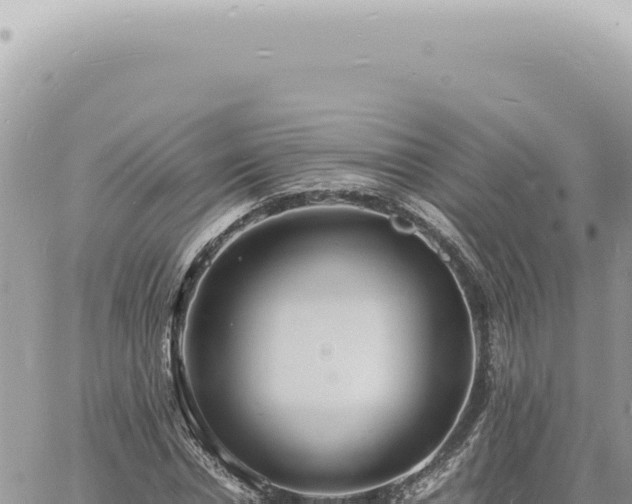 X0000060770826200511171211