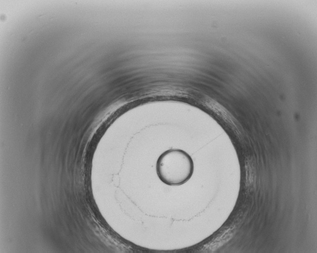 X0000060770828200511171211