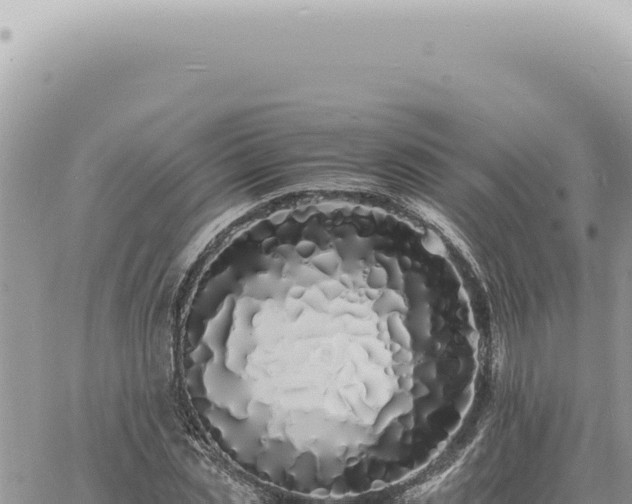 X0000060770829200511171211