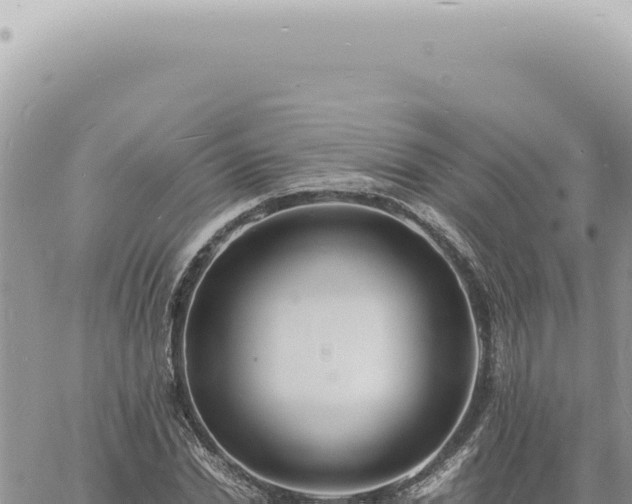 X0000060770830200511171211