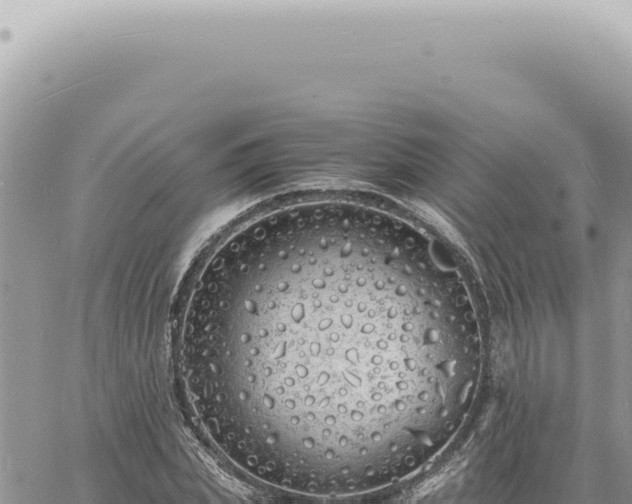 X0000060770831200511171211