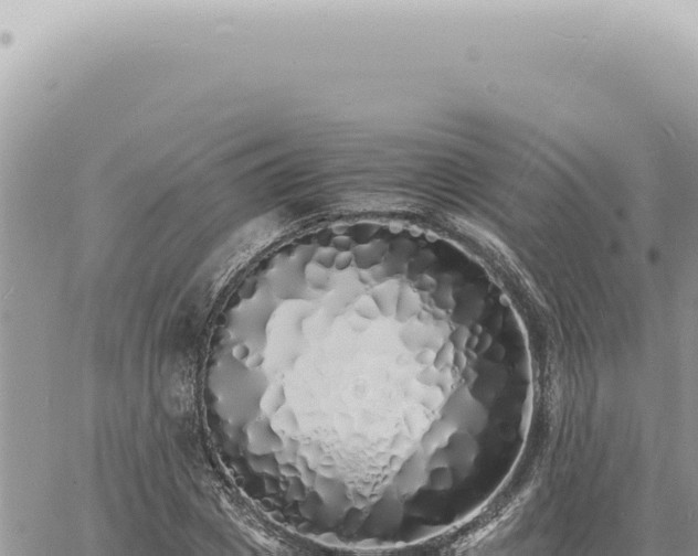 X0000060770833200511171211