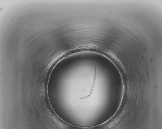 X0000060770834200511171211