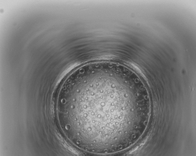 X0000060770835200511171211