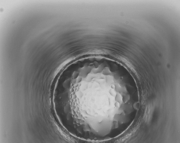 X0000060770837200511171211