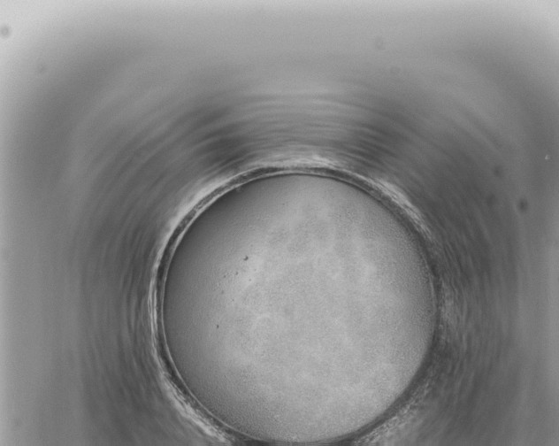 X0000060770840200511171211