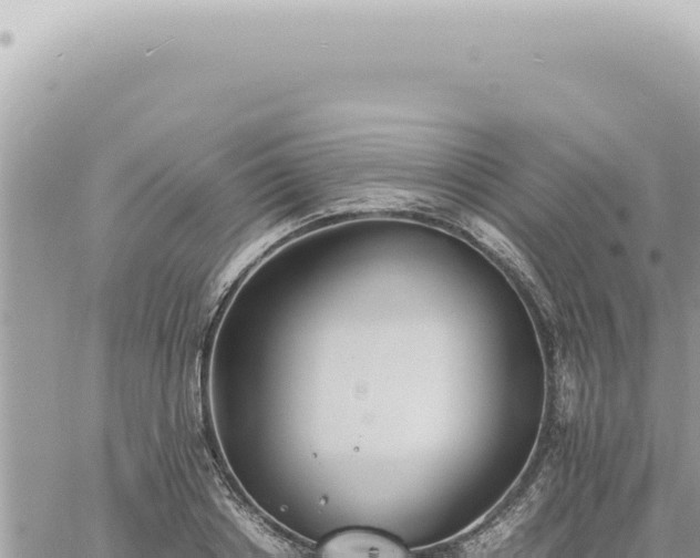 X0000060770842200511171211