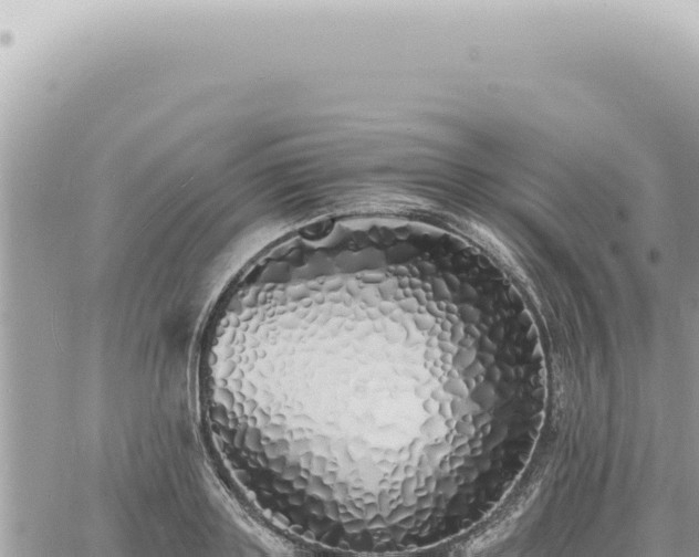 X0000060770843200511171211