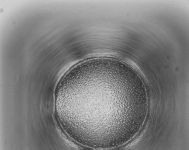 X0000060770844200511171211