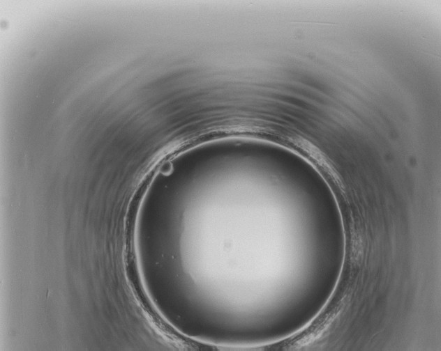 X0000060770845200511171211