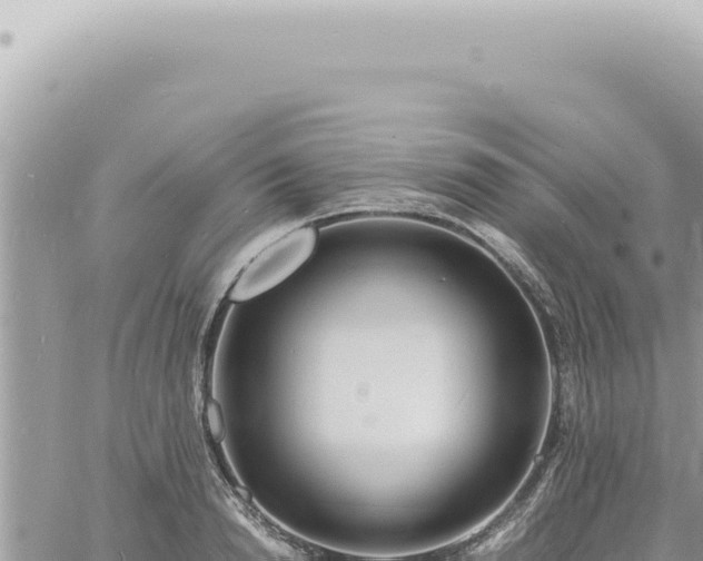 X0000060770846200511171211