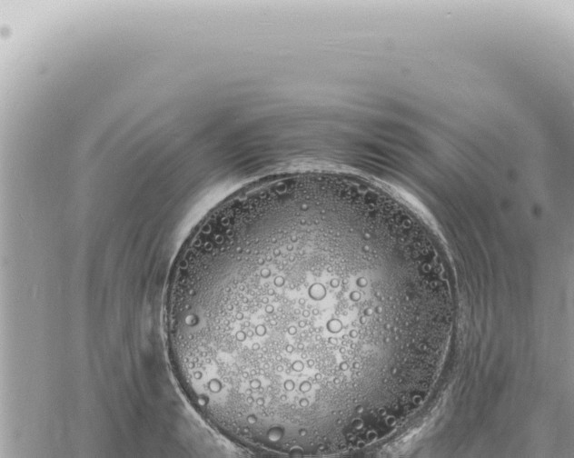 X0000060770847200511171211