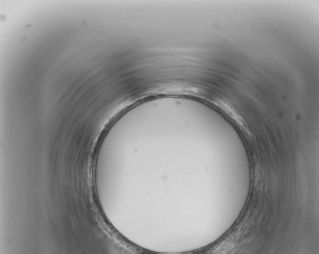 X0000060770848200511171211