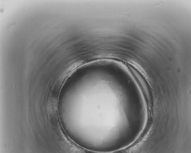 X0000060770849200511171211