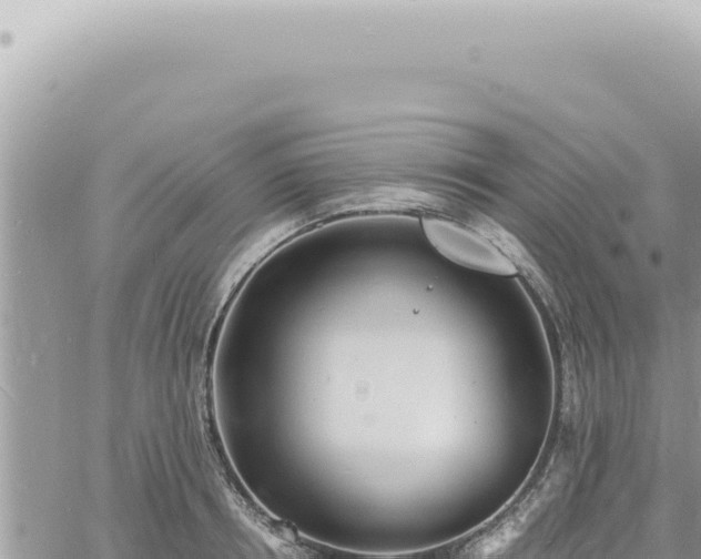 X0000060770850200511171211