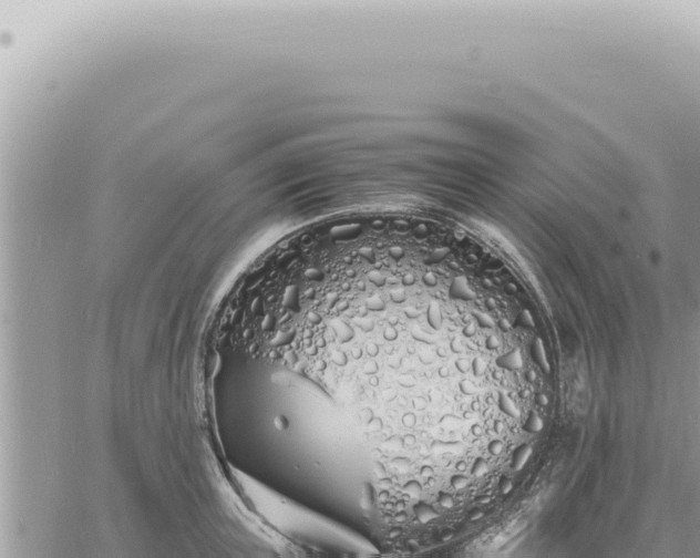 X0000060770851200511171211