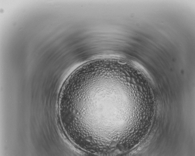 X0000060770852200511171211